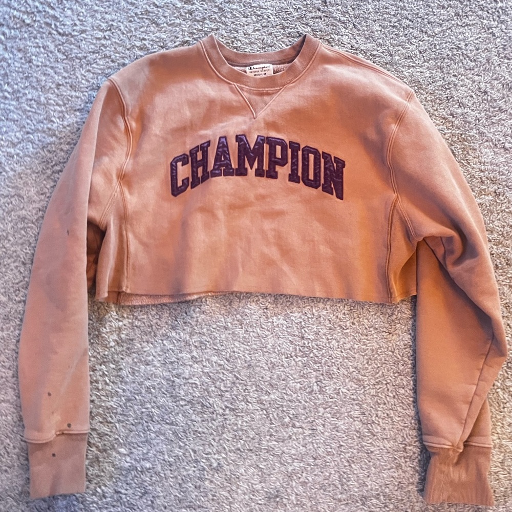 Champion Sweatshirt